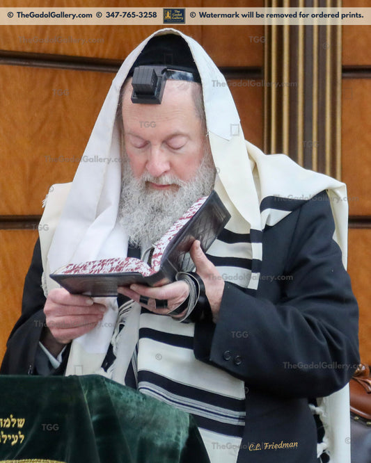 Rav Moshe Tuvia Lieff - 1
