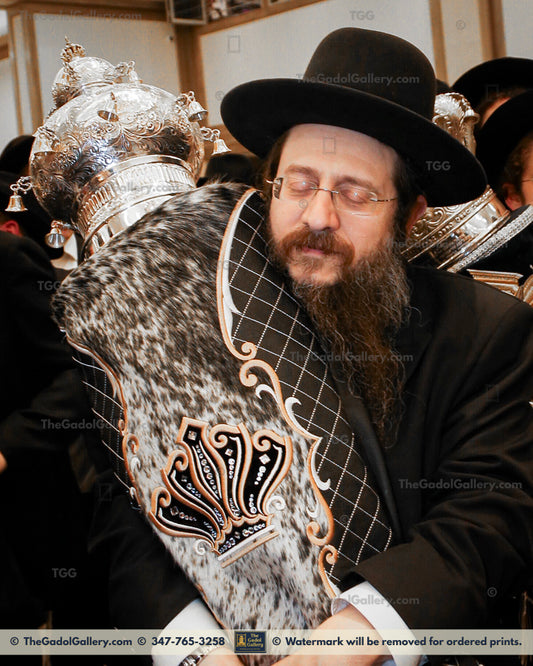 Rav Shloima Lowy -3