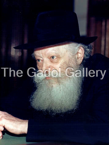 Rav Lubavitch Rebbe