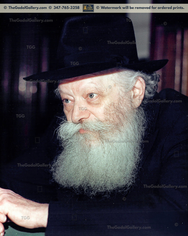 Rav Lubavitch Rebbe