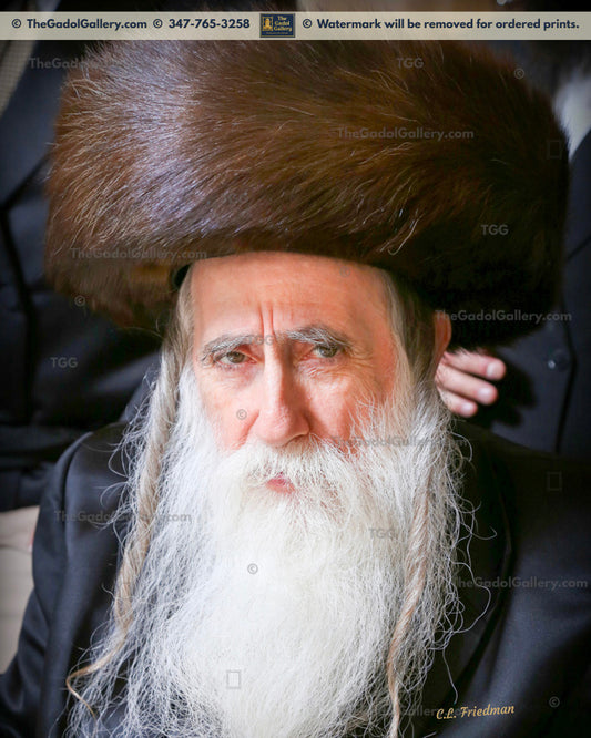 The Machnovka Belz Rebbe