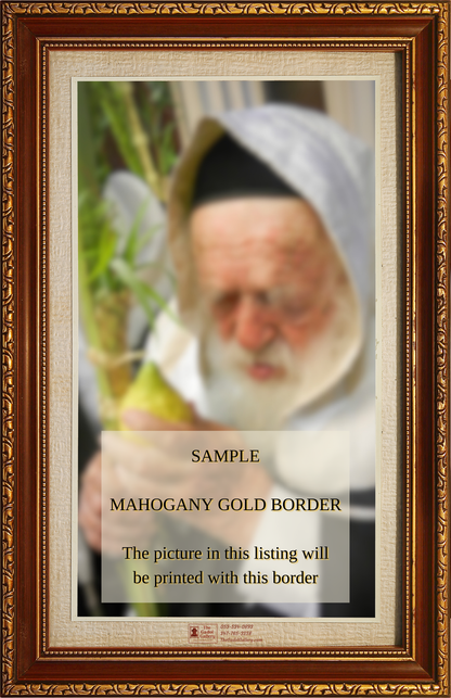 Rav Tzvi Kaplan -2- רב צבי קפלן Sukkah Poster