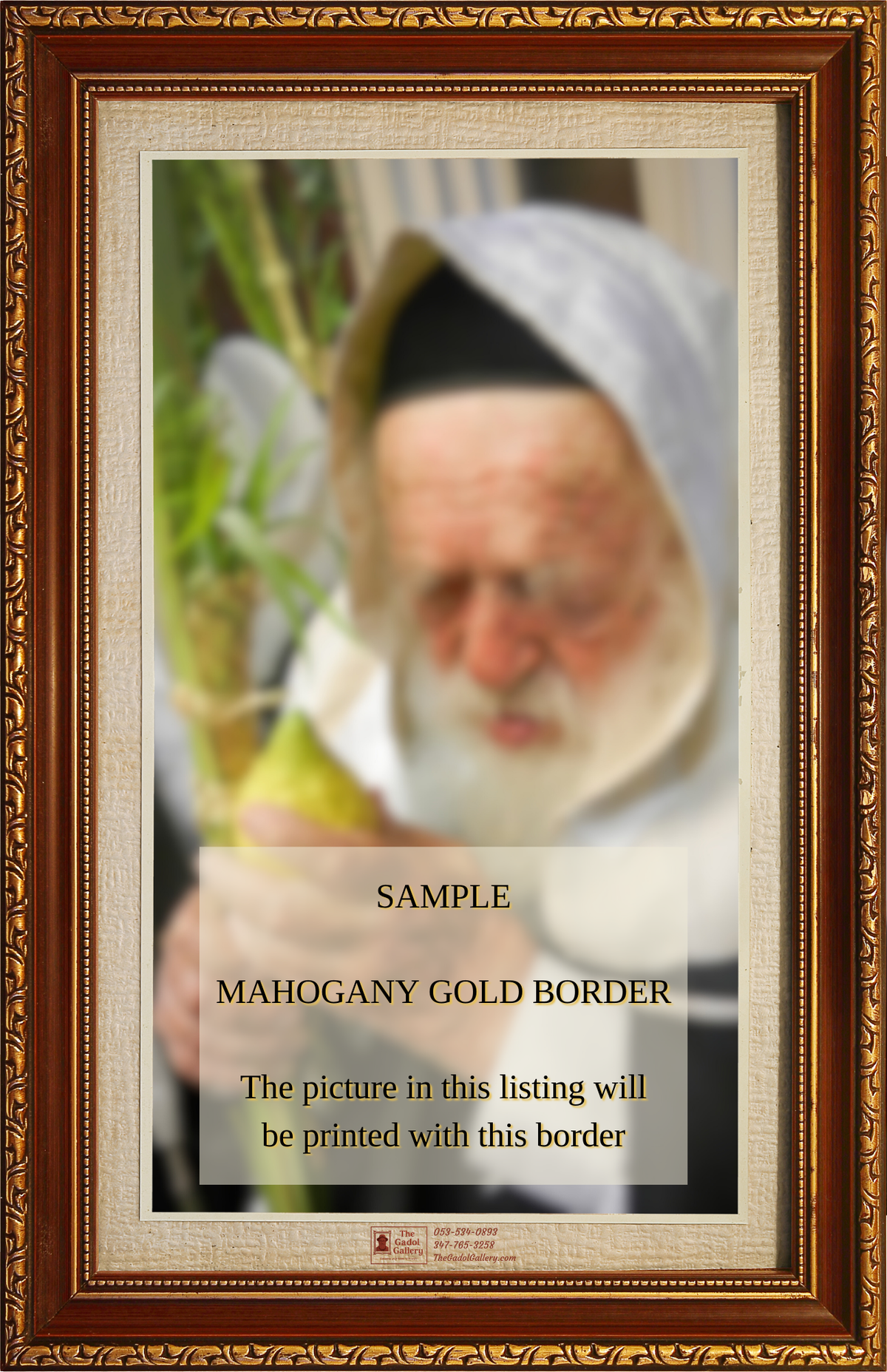 Rav Shlomo Halioua Lulav & Esrog - Sukkah Poster