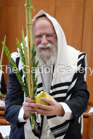 Rav Simcha Maimon -4- רב שמחה מיימון