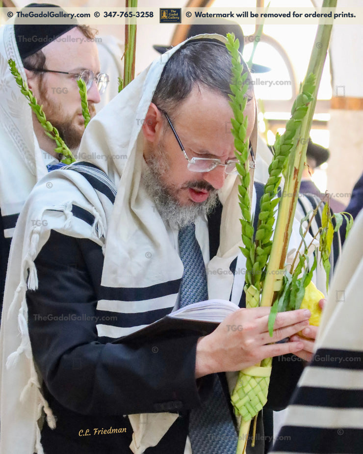 Rav Eliezer Marburger - 2 Sukkos