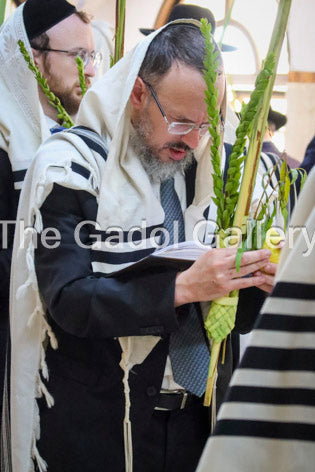 Rav Eliezer Marburger - 2 Sukkos Sukkah Poster