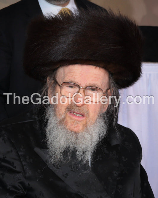 Rav Simcha Bunim Ehrenfeld - Mattersdorfer Rov Sukkah Poster