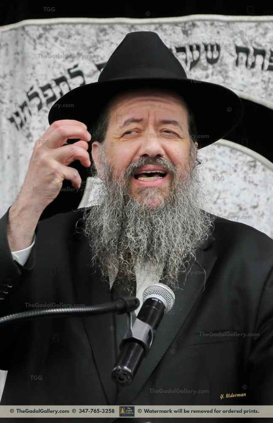 Rav Moshe Mayerfeld -1- Sukkah Poster