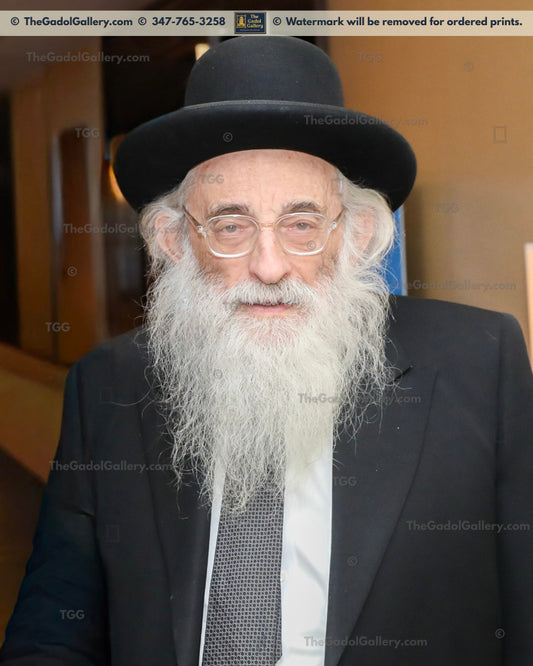 Rav Moshe Meiselman - 3