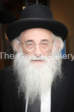 Rav Moshe Meiselman - 3 Sukkah Poster