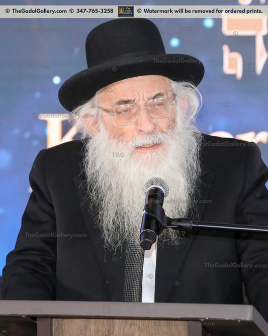 Rav Moshe Meiselman - 4