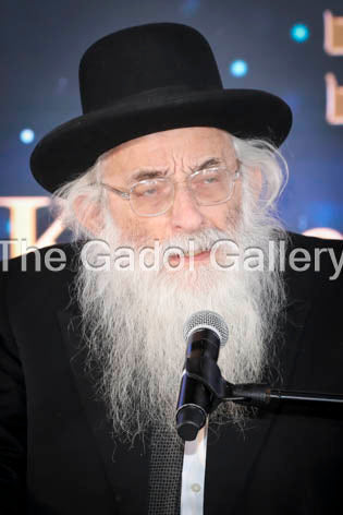 Rav Moshe Meiselman - 4 Sukkah Poster