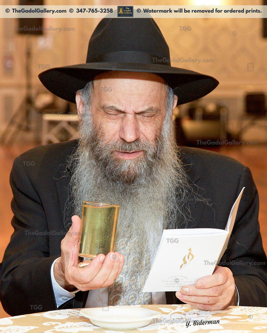 Rav Chaim Mintz - רב חיים מינץ