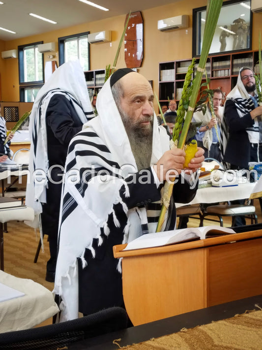 Rav Chaim Mintz -2- רב חיים מינץ Sukkah Poster