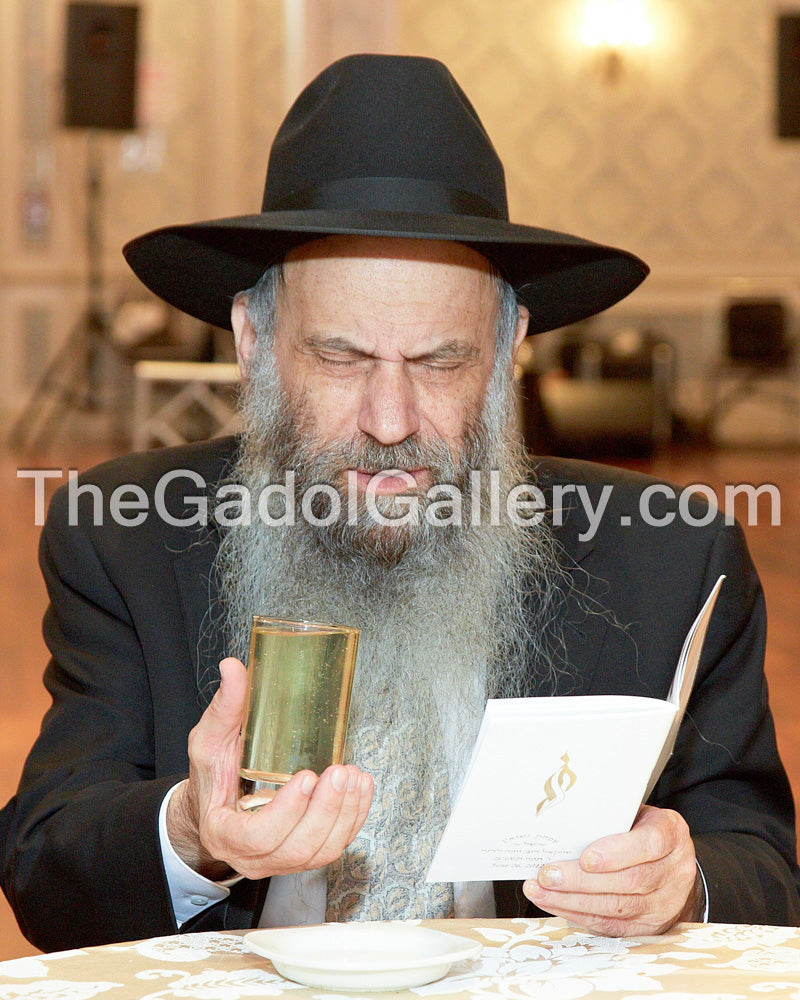 Rav Chaim Mintz - ×¨×‘ ×—×™×™× ×ž×™Ã— ×¥ Sukkah Poster