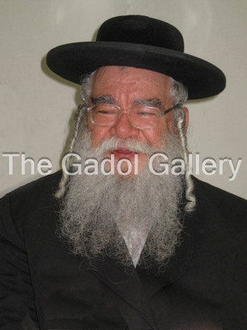 Rav Leib Mintzberg - 1 Sukkah Poster