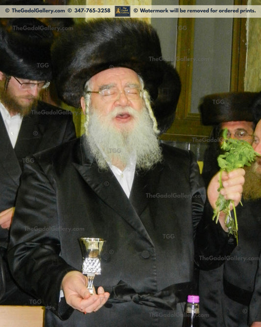 Rav Leib Mintzberg - 2