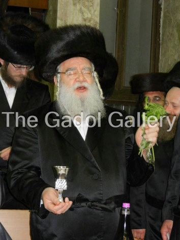 Rav Leib Mintzberg - 2 Sukkah Poster