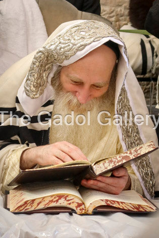Rav Itche Meir Morgenstern -1- רב יצחק מאיר מורגנשטרן Sukkah Poster