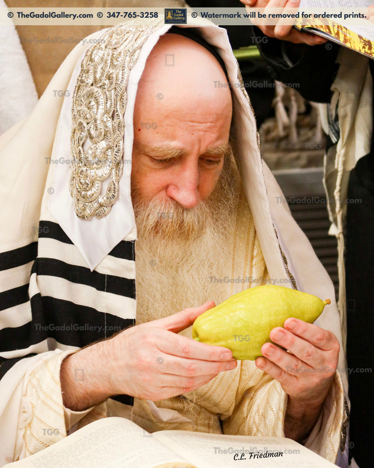 Rav Itche Meir Morgenstern -Esrog- רב יצחק מאיר מורגנשטרן