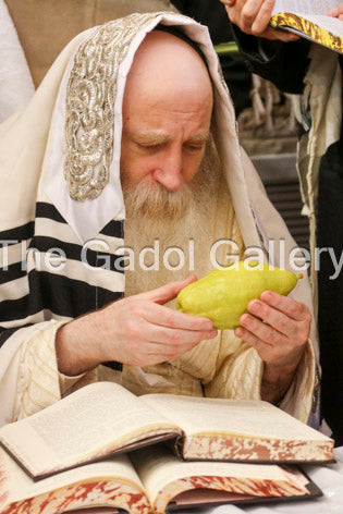 Rav Itche Meir Morgenstern -2- רב יצחק מאיר מורגנשטרן Sukkah Poster