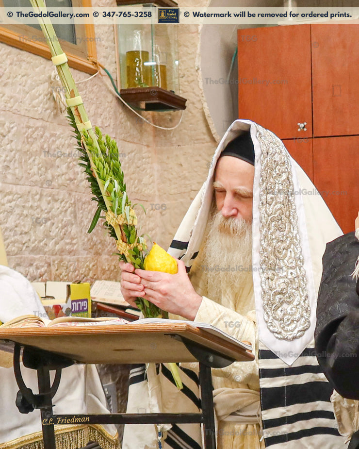 Rav Itche Meir Morgenstern -Lulav 2- רב יצחק מאיר מורגנשטרן