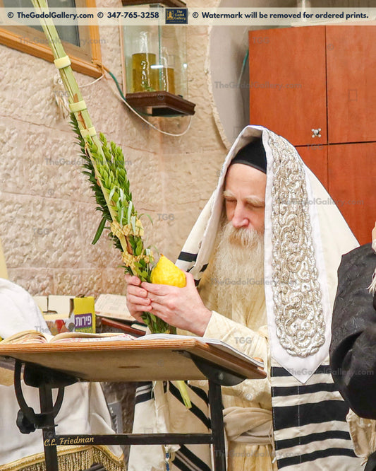 Rav Itche Meir Morgenstern -Lulav 2- רב יצחק מאיר מורגנשטרן