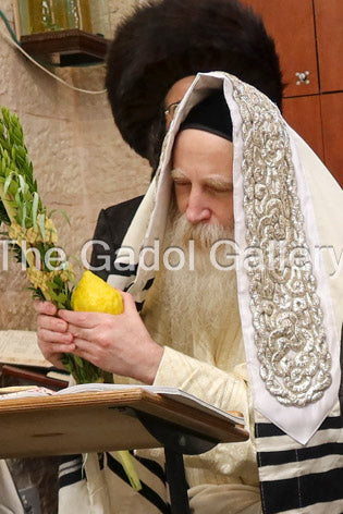 Rav Itche Meir Morgenstern -4- רב יצחק מאיר מורגנשטרן Sukkah Poster