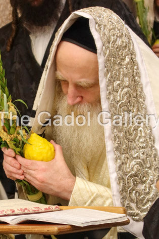 Rav Itche Meir Morgenstern -3- רב יצחק מאיר מורגנשטרן Sukkah Poster