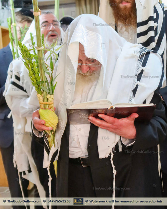 Rav Avigdor Nebenzahl 2a