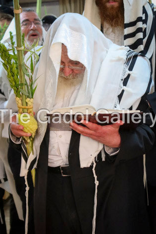 Rav Avigdor Nebenzahl