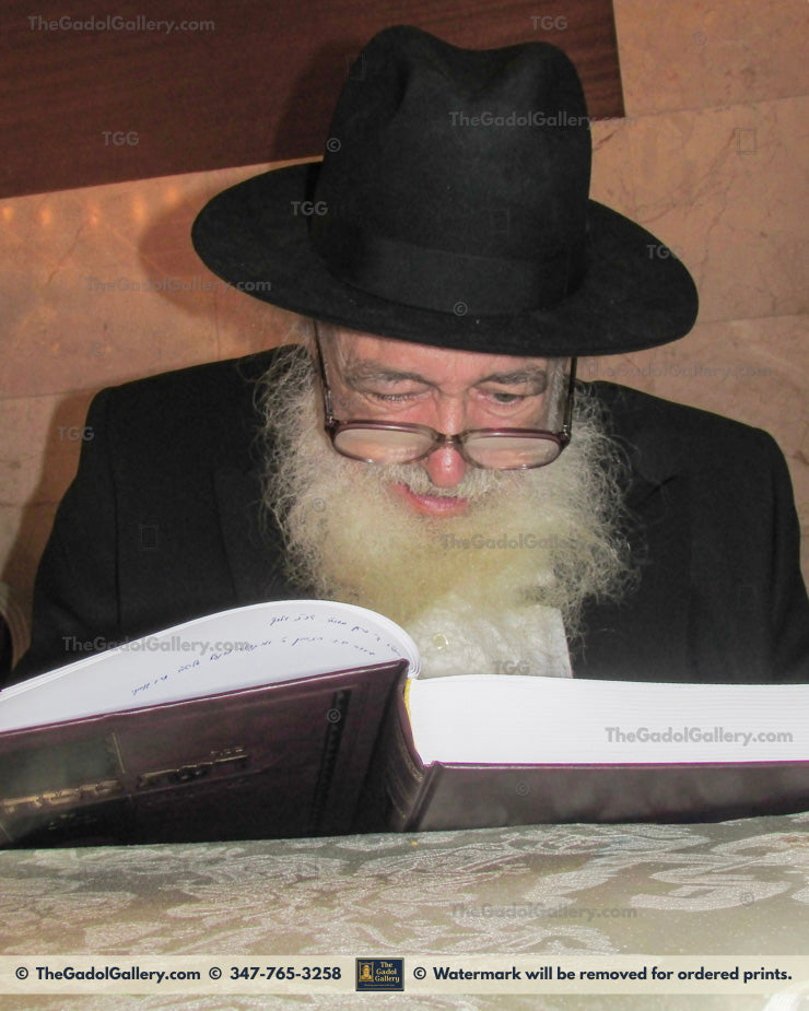 Rav Avigdor Nebenzahl 3