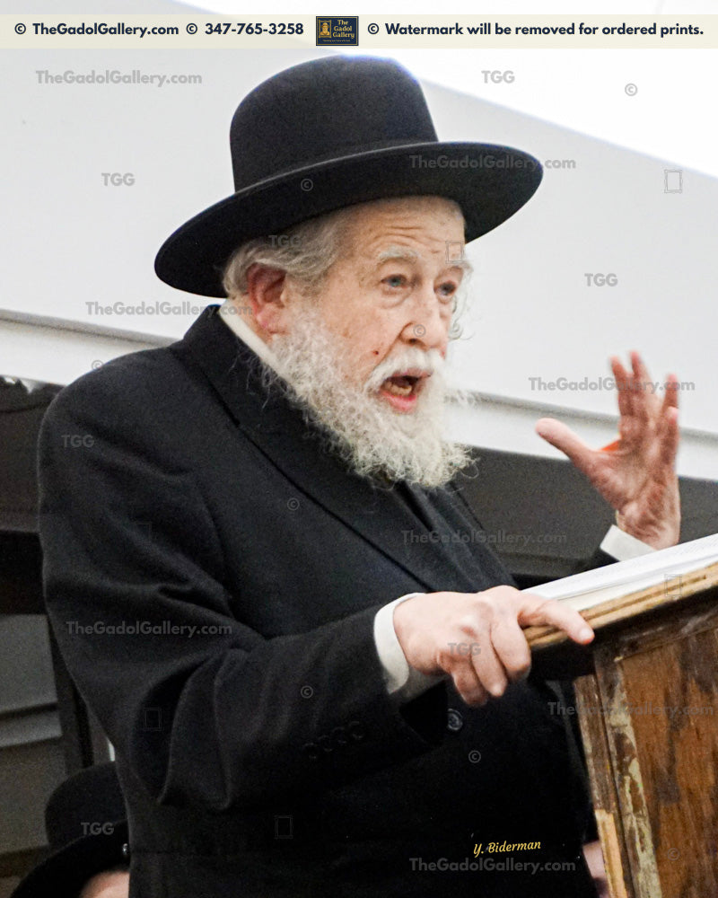 Rav Yisroel Neuman -3- רב ישראל צבי נוימן