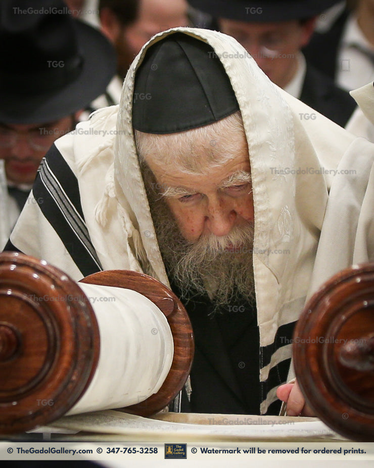 Rav Yisroel Neuman -5a- רב ישראל צבי נוימן