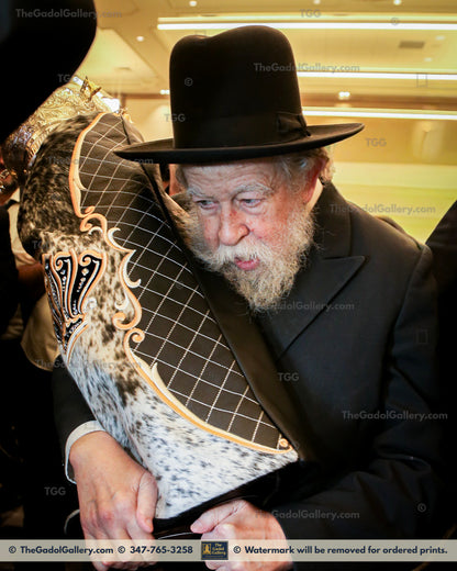 Rav Yisroel Neuman -6- רב ישראל צבי נוימן