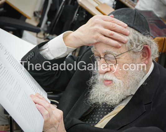 Rav Yisroel Neuman -2- רב ישראל צבי × וימן Sukkah Poster