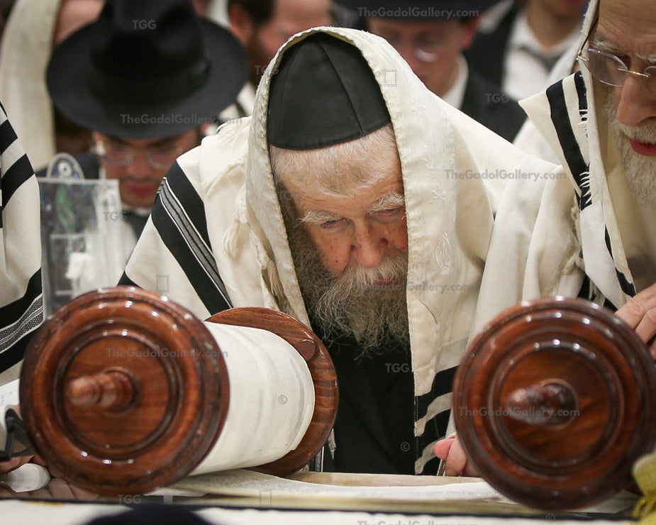 Rav Yisroel Neuman -5- רב ישראל צבי נוימן