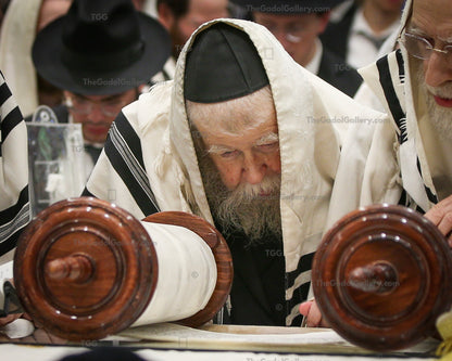 Rav Yisroel Neuman -5- רב ישראל צבי נוימן