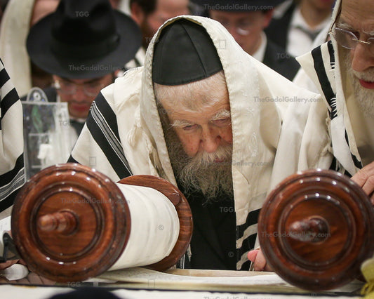 Rav Yisroel Neuman -5- רב ישראל צבי נוימן