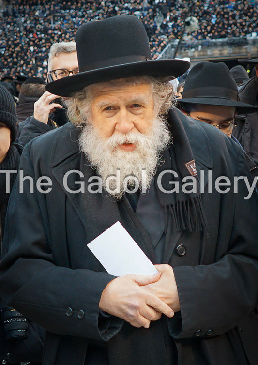 Rav Yisroel Neuman -1- רב ישראל צבי × וימן Sukkah Poster