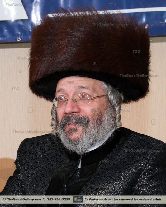 The Nikolsburg Rebbe - Rav Mordechai Zev Jungreis 3