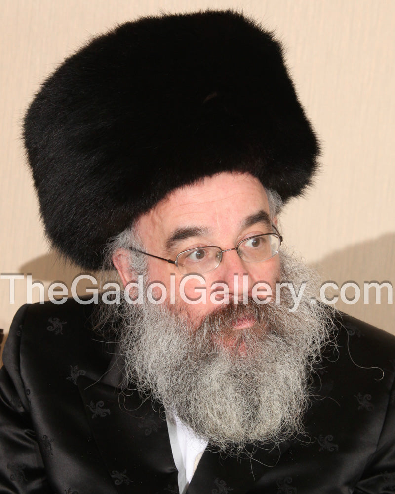 Rav Yisroel Perlow -2- Novomisker Rebbe Sukkah Poster