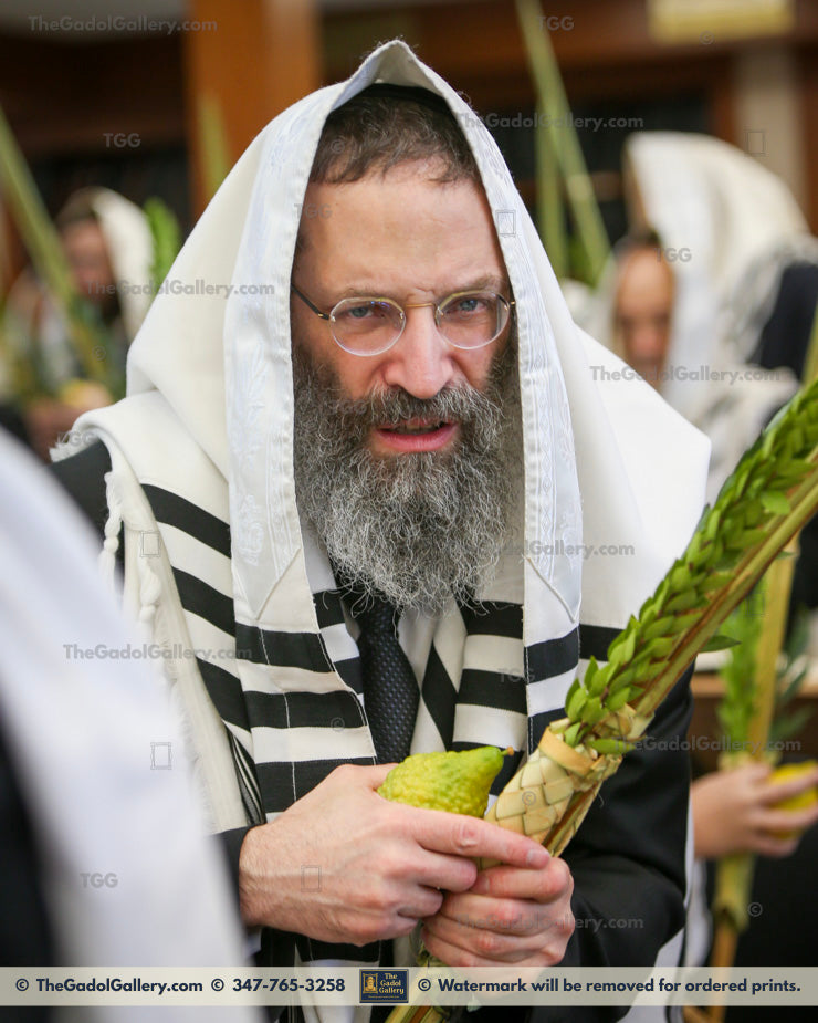 Rav Ahron Olshin -Lulav- רב  אהרן אלשין