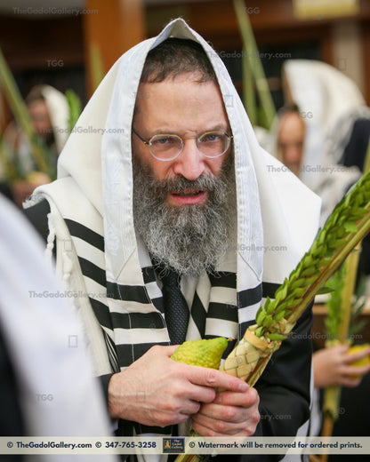 Rav Ahron Olshin -Lulav- רב  אהרן אלשין