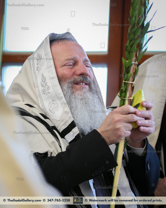 Rav Isser Zalmen Olshin -3- רב איסר זלמן אלשין