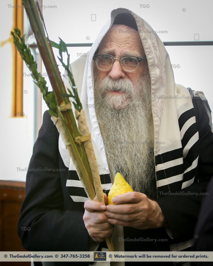 Rav Yerucham Olshin -Lulav- רב ירוחם אלשין