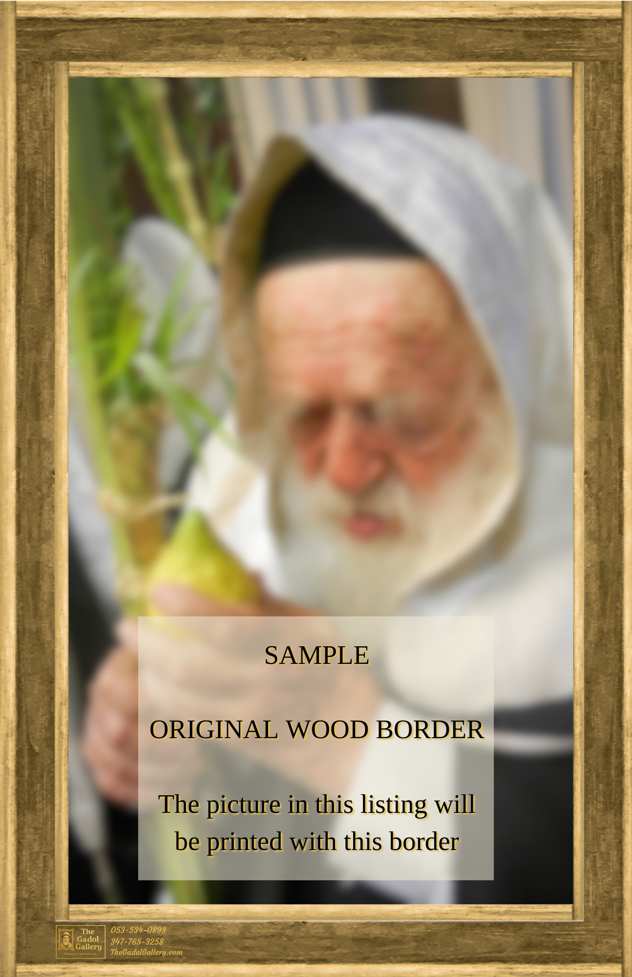 Rav Shlomo Halioua Lulav & Esrog - Sukkah Poster