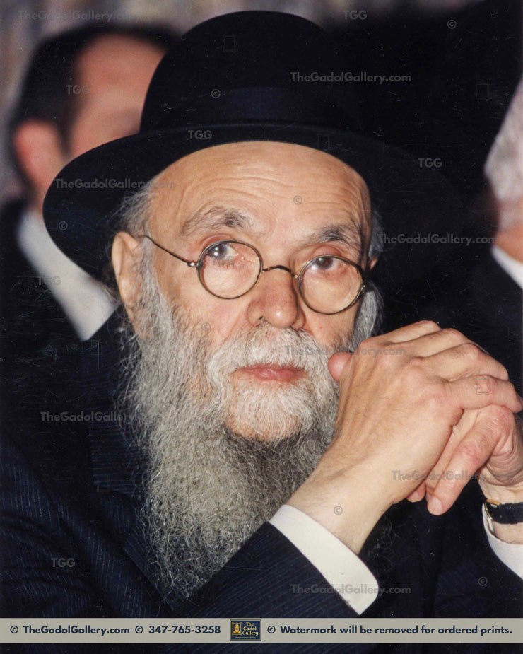 Rav Avraham Pam 1TU
