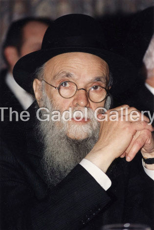 Rav Avraham Pam 2 Sukkah Poster