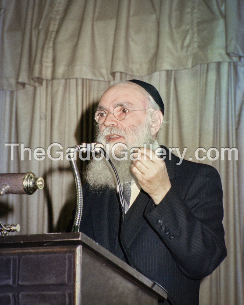 Rav Avraham Pam 3 Sukkah Poster